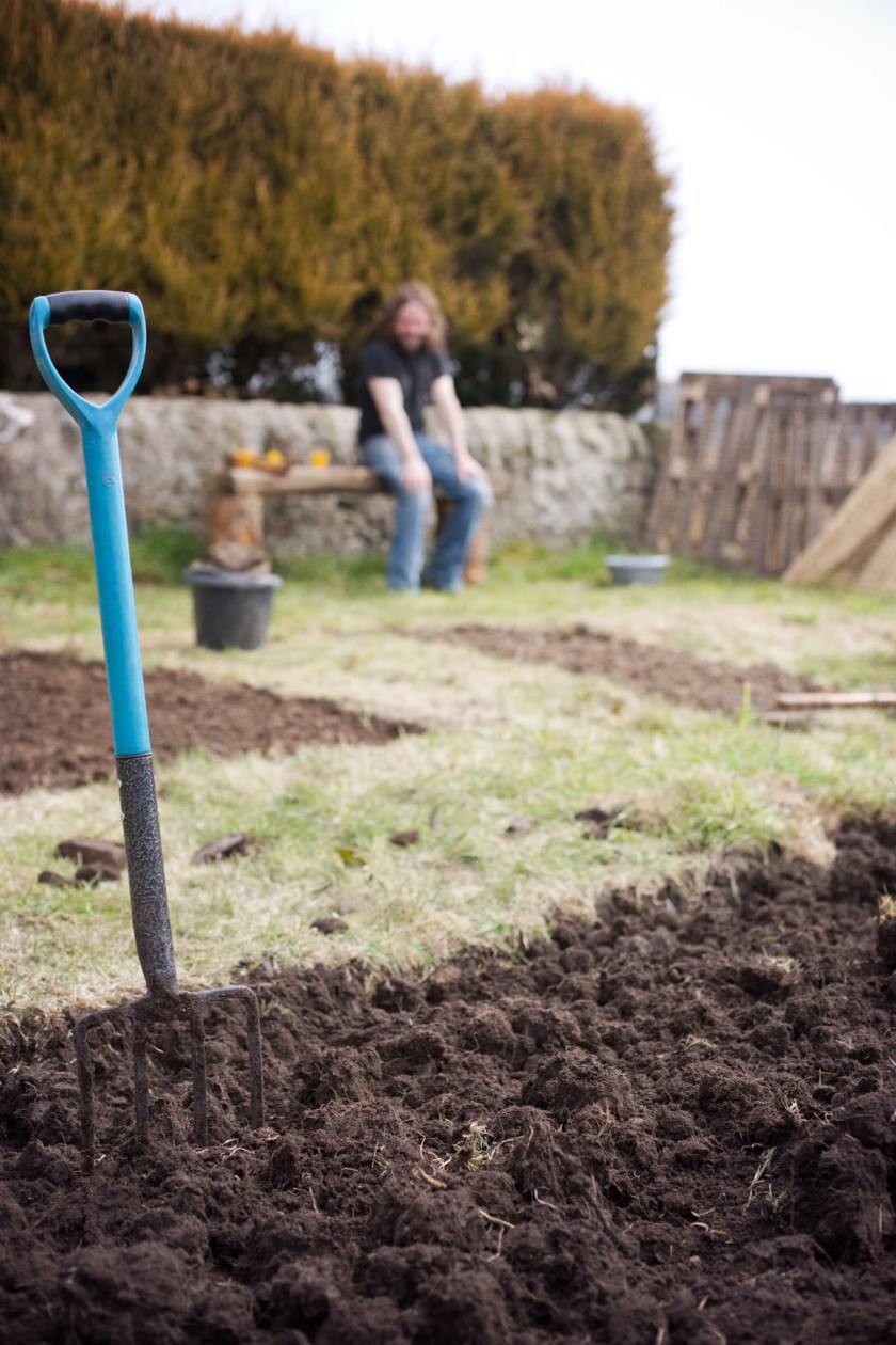 veg plot digging