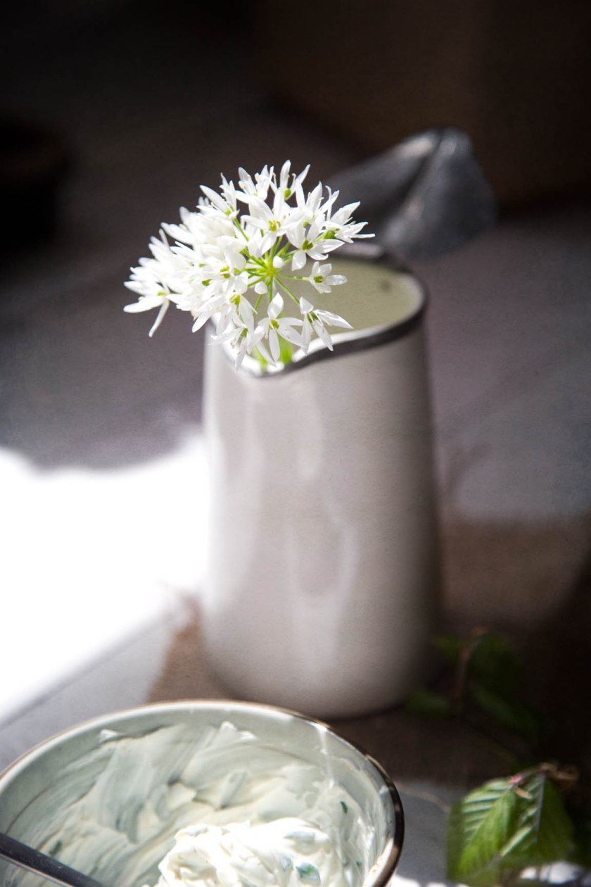 wild garlic flowers