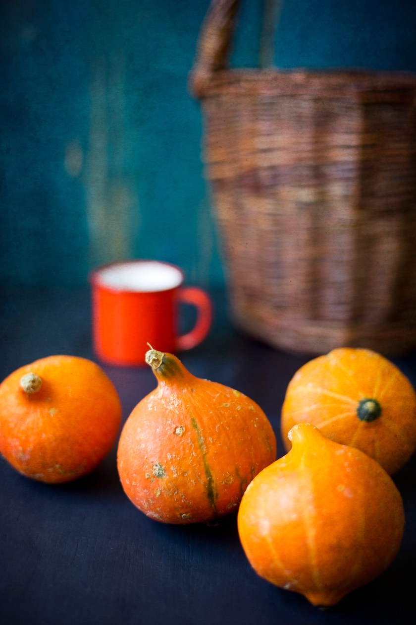 october pumpkin copy