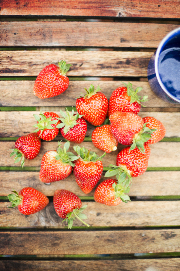 Strawberry Rhubarb cordial-1