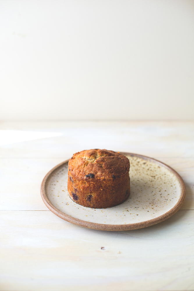blueberry cake, camera and Clementine