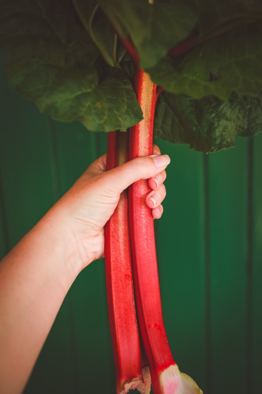 rhubarb
